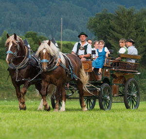 Kutschfahrt_483x460