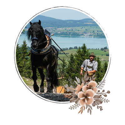 Allgäuer Tradition